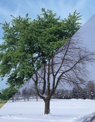 Pościel na każdą porę roku: co wybrać na zimę i lato Pościel na każdą porę roku: co wybrać na zimę i lato