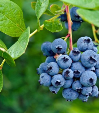 Małe codzienne nawyki, które spowalniają starzenie Małe codzienne nawyki, które spowalniają starzenie