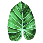 Dywaniki łazienkowe "Leaf mat", 58x88 cm. Zielony dywanik łazienkowy w kształcie tropikalnego liścia ze szmaragdowymi i ciemnozielonymi odcieniami.