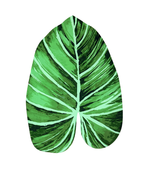 Dywaniki łazienkowe "Leaf mat". Maty łazienkowe